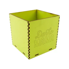 Holzbox 8 cm apfelgrün "Danke Mama"