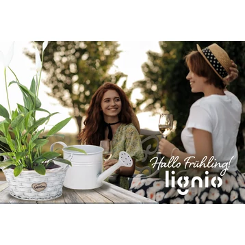 Die Frühlingssaison ist da!