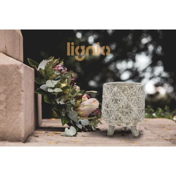 Beginnen Sie frühzeitig mit der Planung für Allerheiligen!