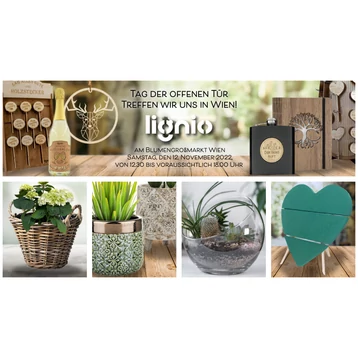 Tag der offenen Tür in Wien!