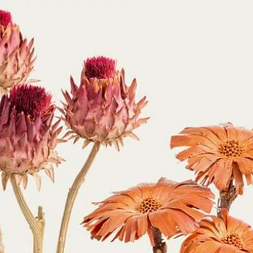 TROCKENBLUMEN