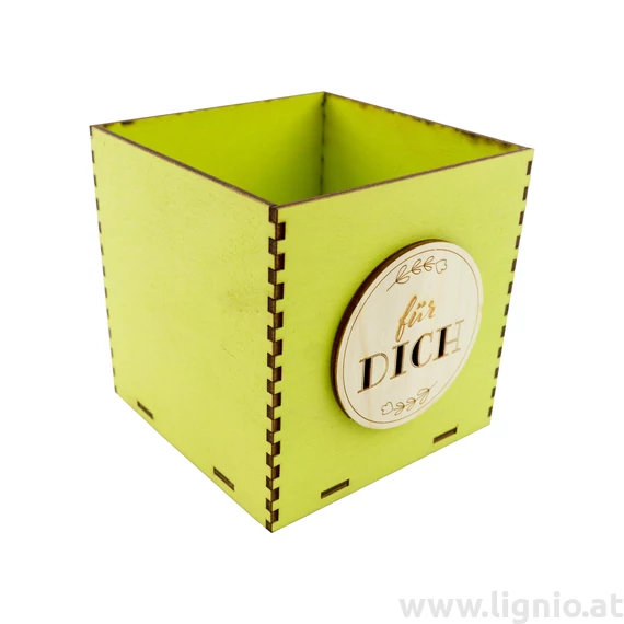 Holzbox 10 cm apfelgrün "Für Dich"