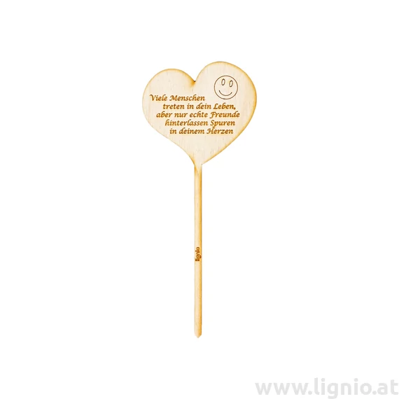 Blumenstecker Herz "Viele Menschen treten in dein Leben, aber nur echte Freunde hinterlassen Spuren in deinem Herzen"