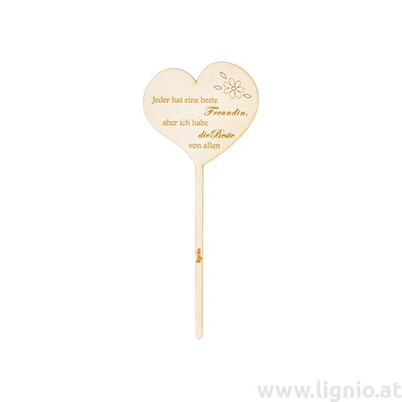 Blumenstecker Herz "Jeder hat eine beste Freundin, aber ich habe die Beste von allen"