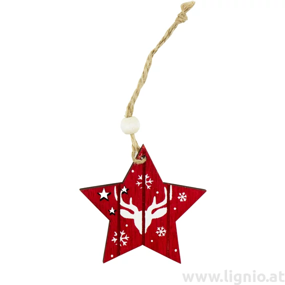 Rote Stern Anhänger