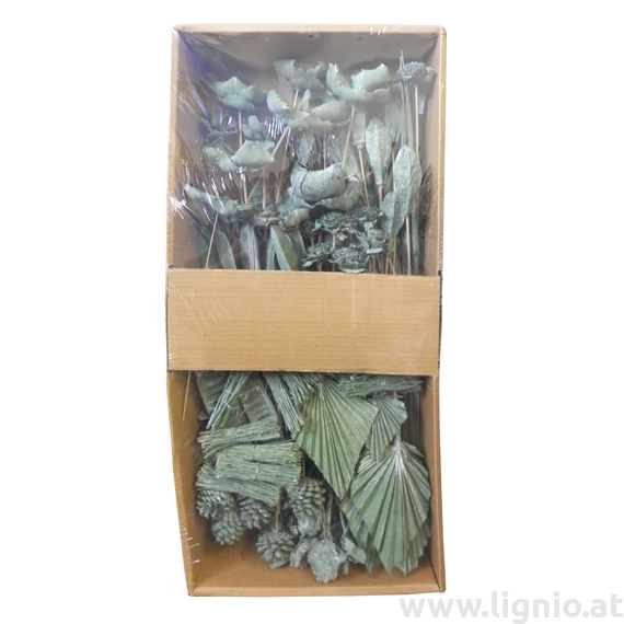 POS Indien Mix Grün Frosted