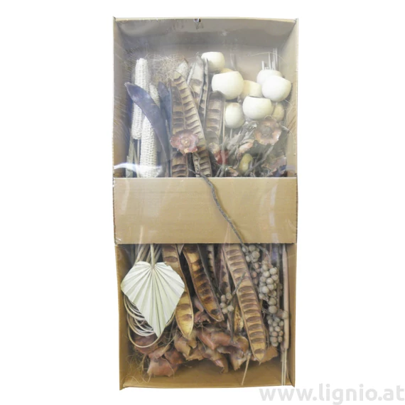 POS Indien Mix Natur