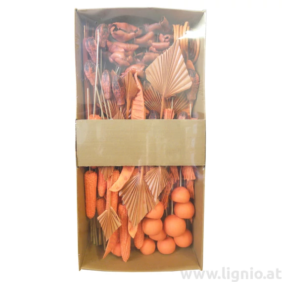 POS Indien Mix Orange