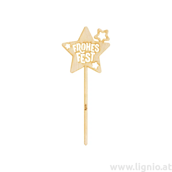 Weihnachtsstecker "Stern"