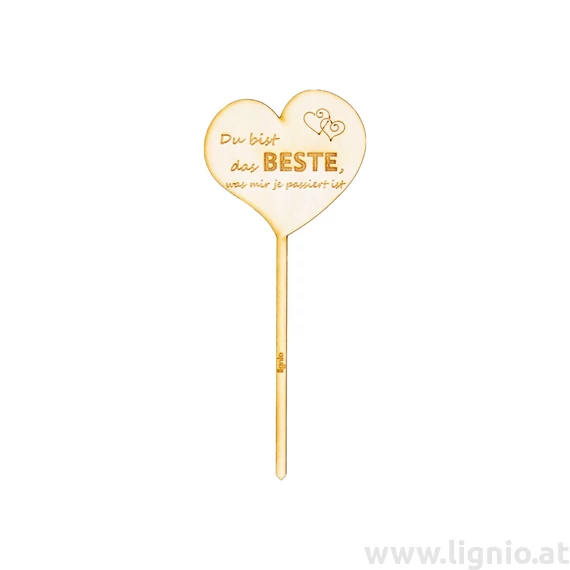 Blumenstecker Herz "Du bist das Beste was mir je passiert ist"
