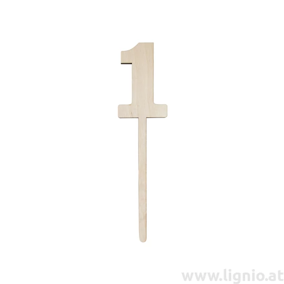 Nummer Stecker "1"
