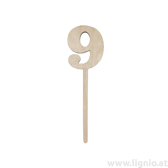 Nummer Stecker "9"